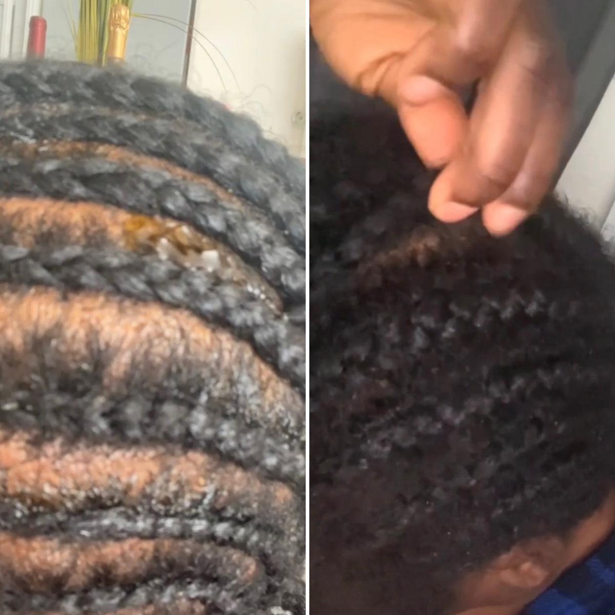 Routine Pousse Cheveux Crépus 3 Mois – Cure Ayurvédique Complète | Asilì