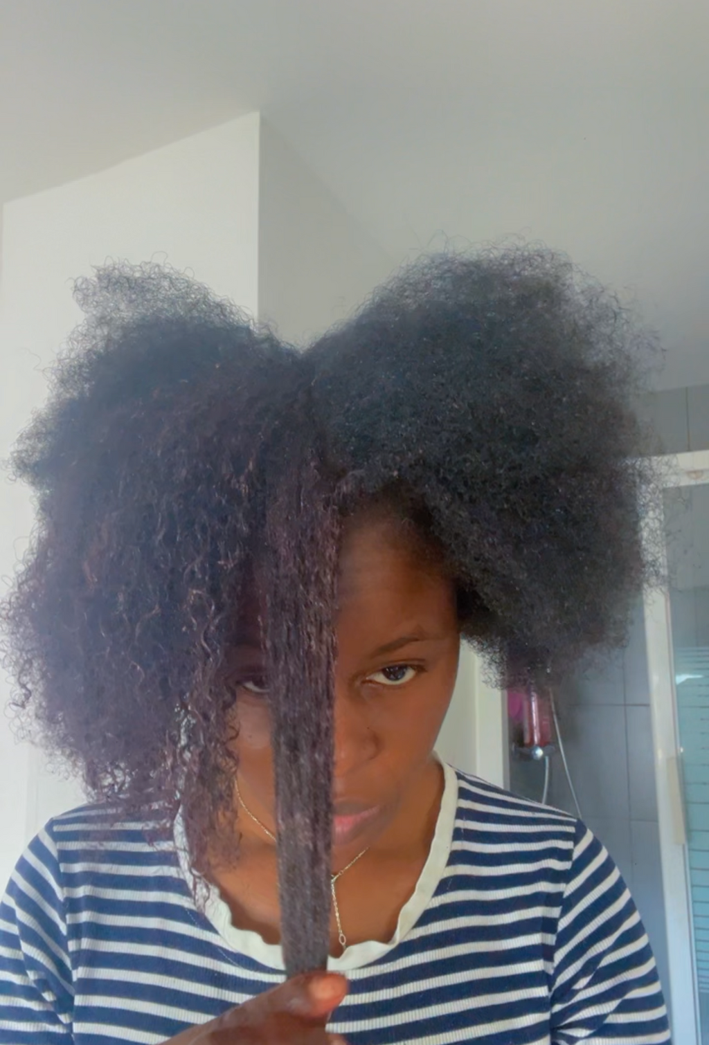Masque Cheveux Crépus aux Poudres Ayurvédiques – Soin Profond Anti-Casse | Asilì
