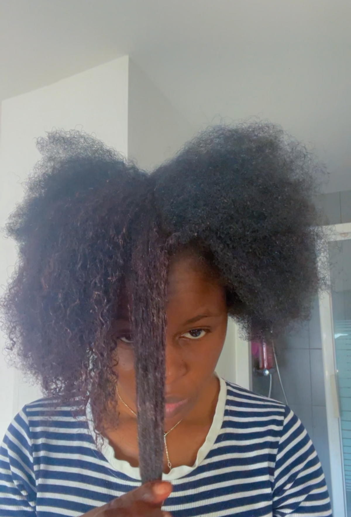 Masque Cheveux Crépus aux Poudres Ayurvédiques – Soin Profond Anti-Casse | Asilì